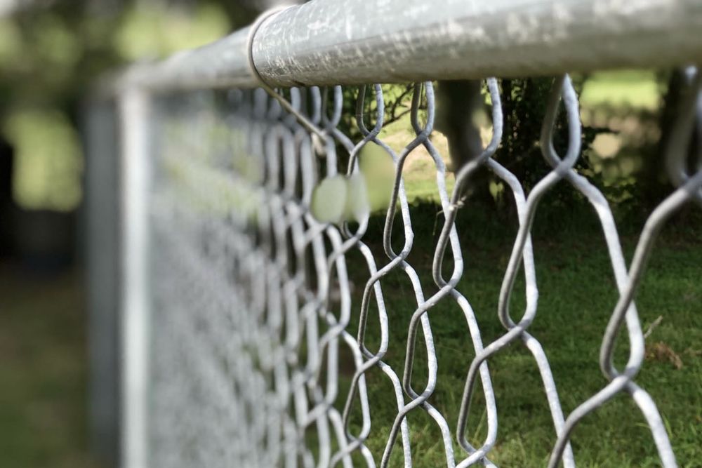 Galvanized chain link fence enclosing a residential yard