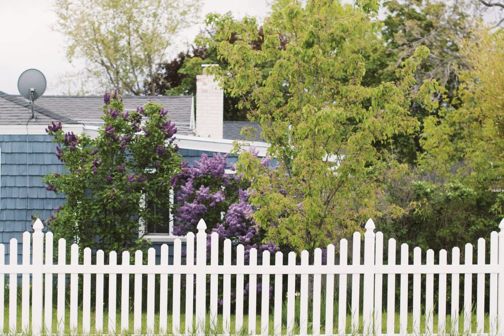 White vinyl privacy fence with clean vertical panels beside a green lawn