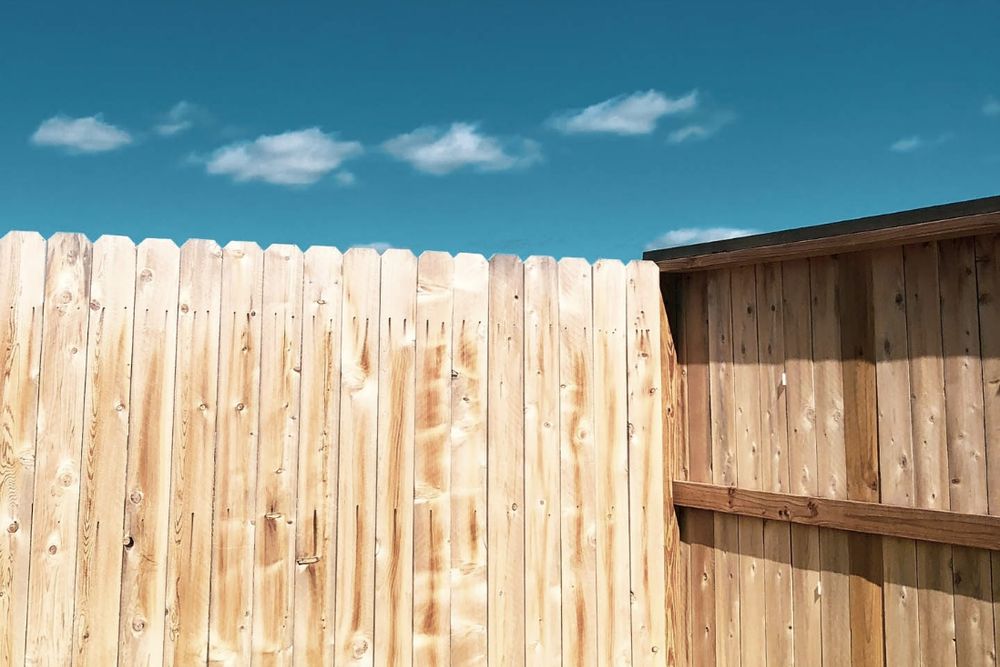 Newly installed cedar privacy fence with dog-ear pickets running along a mowed backyard